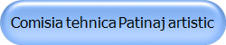 Comisia tehnica Patinaj artistic
